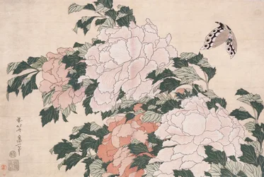 Peônias rosa e vermelhas sopradas para a esquerda em uma brisa e uma borboleta