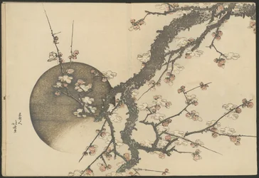 Flor de Ameixoeira e a Lua do Livro Monte Fuji na primavera (Haru no Fuji)