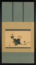 Abóbora Vinha e Mosca do Cavalo, ca. 1825-1833.