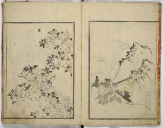 Esboços aleatórios de Hokusai