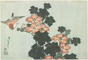 Rose Mallow e Sparrow, c. 1832