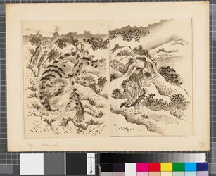 Cenas da guerra entre o Japão e a Coreia, finais do século XVIII e primeira metade do século XIX (tinta e aguada sobre papel)