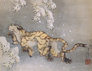 Tigre numa tempestade de neve