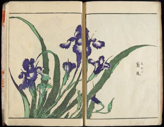 Transmitir o Espírito e Revelar a Forma das Coisas: O Jardim das Imagens de Hokusai, vol. 1 completo