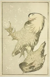 Duas Aves Aquáticas, do Livro Ilustrado de Pinturas Realistas de Hokusai (Hokusai shashin gafu)