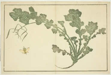Caule de vespa e nabo, de "O livro ilustrado de pinturas realistas de Hokusai (Hokusai shashin gafu)"
