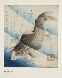 Carp in Water (impressão em bloco de madeira a cores)