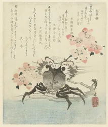 Caranguejo com flor de cerejeira