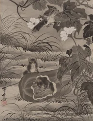 Ratos em um melão, ca. 1887.