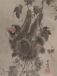 Macaco pendurado em videiras, ca. 1887