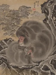 Macacos, março de 1888.