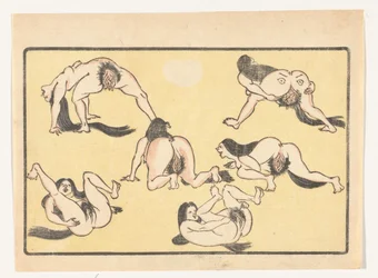 Mulheres nuas A grande cauda (título da série)