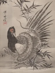 Faisão capturado por uma cobra, ca. 1887.