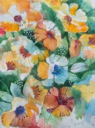 Pansies em aquarela vibrante