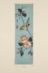 Sparrow e Camellia (impressão a cores de bloco de madeira)