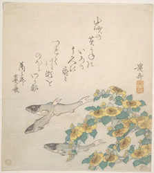 Peixes a nadar com flores amarelas