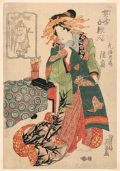 Mutsu de camarão redondo