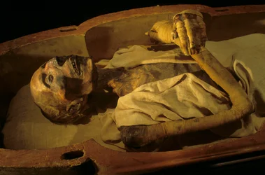 Múmia de Ramsés II