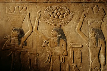 Mulheres transportando pão, aves, cabras e produtos, túmulo de Tiye, Egipto; Antigo Reino; Saqqa...