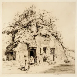 Habitantes das cavernas