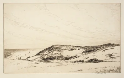 Terras altas, Cape Cod
