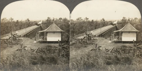 Grupo de 14 estereógrafos de África e Actores, 1850-1910s.