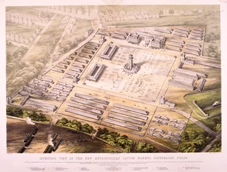 Metropolitan Cattle Market, Londres, 1855