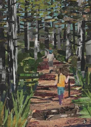 Oranjezon Forest, Holanda