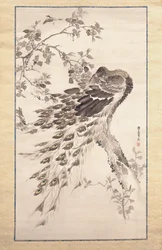 Pavão sobre cerejeira (tinta e cor sobre seda)