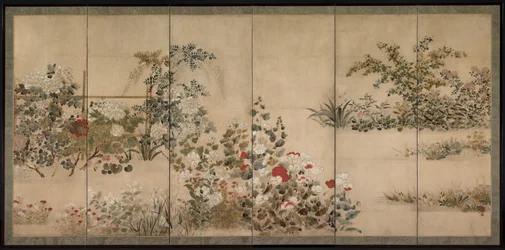 Flores e gramíneas