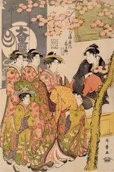 Cortesãs passeando sob cerejeiras antes do Daiko, c.1789 (oban tate-e impressão em xilogravura, cor sobre papel) (detalhe de 203664)
