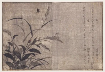 Críquete e vaga-lumes, 1788 (xilogravura)