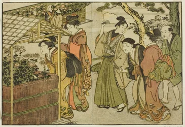 Exibição de Crisântemos, do livro ilustrado "Livro de Imagens: Flores das Quatro Estações (Ehon shiki no hana)", vol. 2