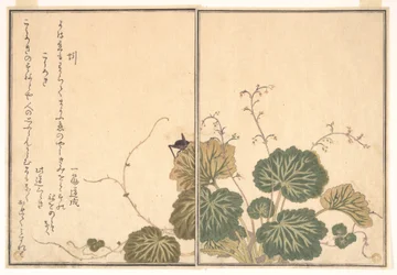 Minhoca (Mimizu); grilo (Kōrogi), do Livro ilustrado de criaturas rastejantes (Ehon mushi erami)