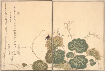Minhoca Mimizu, Cricket Korogi..., 1788.