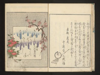 Poema com flores da primavera