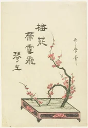 Arranjo de ikebana com um ramo de ameixeira