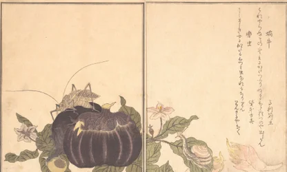 Land Snail Katatsumuri, Gigante Katydid Kutsuwamushi ..., 1788.