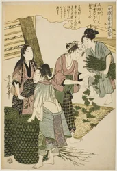 Nº 5 (go), da série "Mulheres na Indústria da Sericultura (Joshoku kaiko tewaza-gusa)"