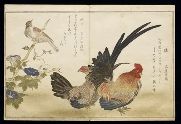 P.332-1946 vol. 1 f. 8 Galo e galinha à direita com um escrevedeira à esquerda, de um álbum «Aves comparadas em canções humorísticas» («Momo Chidori Kyoka Awase»), 1791