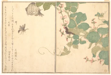 Vespa-de-papel (Hachi); lagarta peluda (Kemushi), do Livro ilustrado de criaturas rastejantes (Ehon mushi erami)