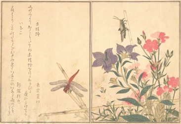 Libélula Vermelha Akatonbo, Gafanhoto Inago..., 1788.