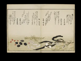 Shiohi no tsuto (Presentes da Ebb Tide), conhecido como o livro Shell, 1789 (impressão em xilogravura a cores)