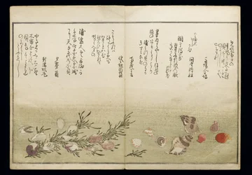 Shiohi no tsuto (Presentes da Ebb Tide), conhecido como o livro Shell, 1789 (impressão em xilogravura a cores)