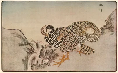 Faisões, 1789, 1924.