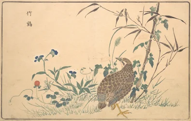 Máquina caça-níqueis Z, 1789.