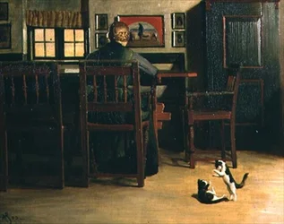 Interior com gatinhos brincalhões
