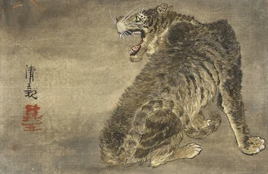 Tigre e relâmpago