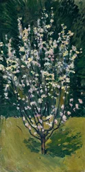 Plântulas floridas