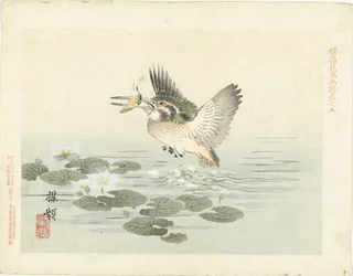Kingfisher
Esboços de flores e pássaros da Bairei (título da série)
Barei kacho gafu (título da série sobre o objecto)